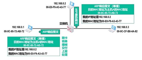 計算機網(wǎng)絡(luò)技術(shù)核心 深度解析網(wǎng)絡(luò)層