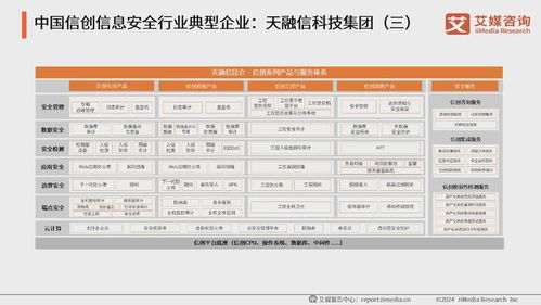 2024年上半年中國A股軟件開發上市企業數據分析 網絡與信息安全軟件開發的崛起